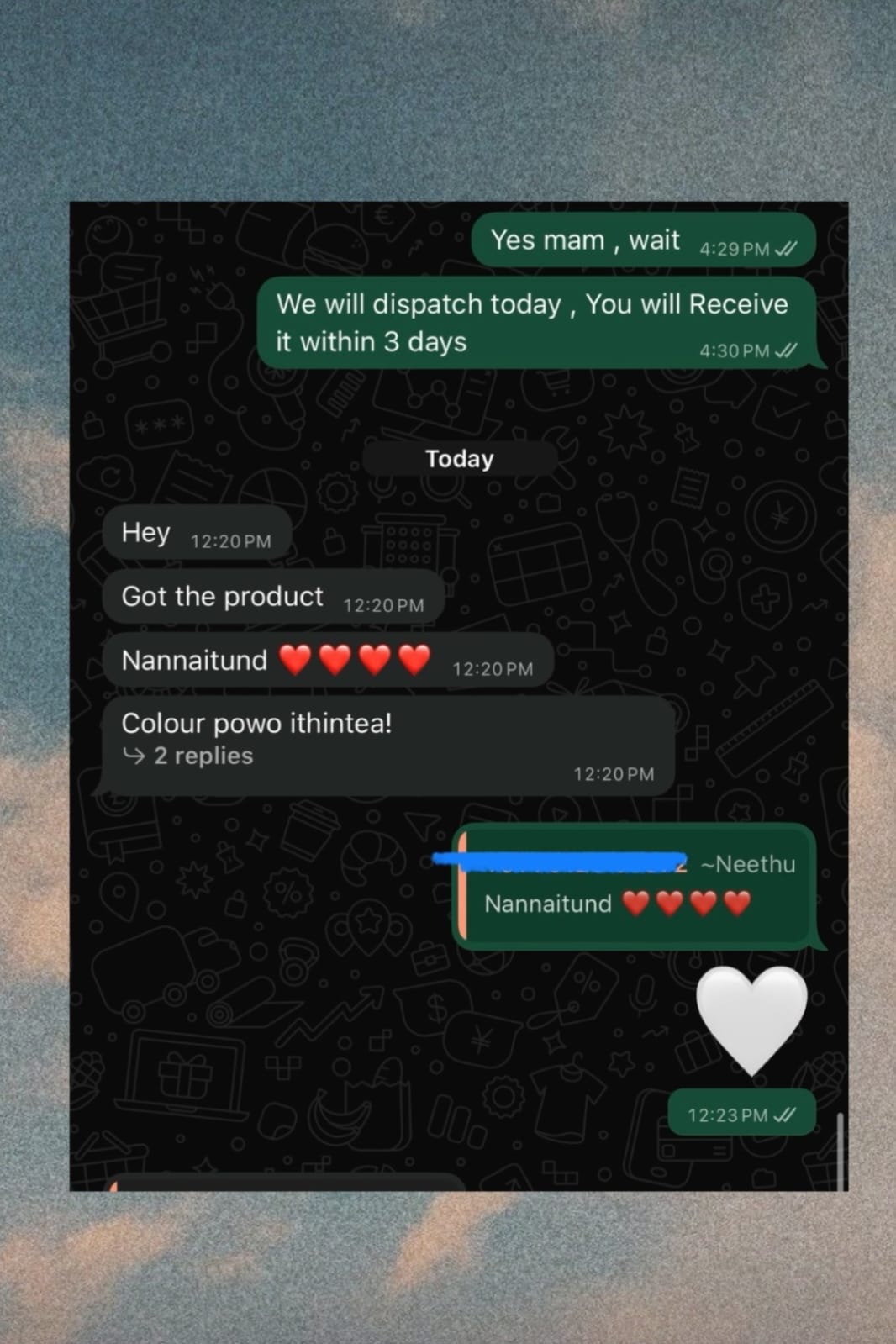 Customer review chat 18